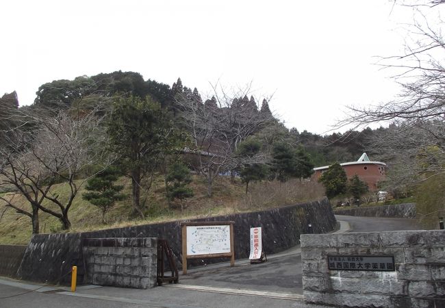 千葉県薬草園