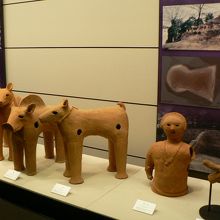 見ごたえがある今城塚古代歴史館