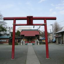 中々に広い境内