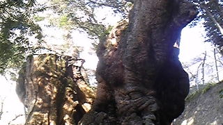 雰囲気が良いです