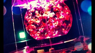 アートアクアリウム