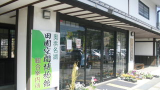 ベビーリーフが最高！