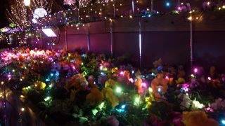 華やかなイルミネーション