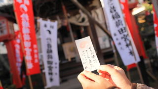 おしゃれに盆栽が飾ってありました