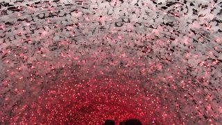 一度行ってみる価値あり！（ﾄﾗﾋﾟｯｸｽの平日日帰りﾊﾞｽﾂｱｰ利用）