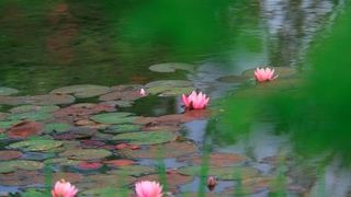 名古屋港にある綺麗な公園