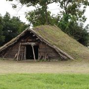 縄文時代にタイムスリップ