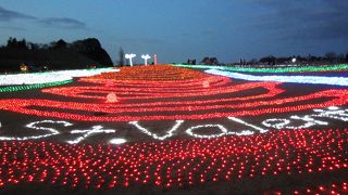 冬のイルミネーションは必見！