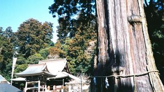 日蓮宗の大本山です