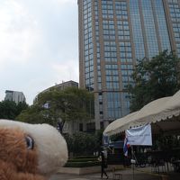 朝のお散歩も楽しめます