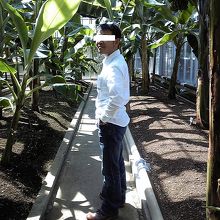 植物園にて