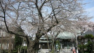 瀬谷八福神・福禄寿