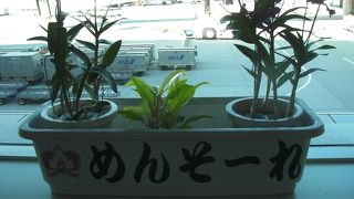 トランジットに便利