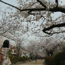 早い時間帯です