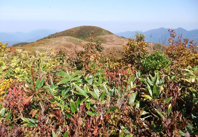 金剛堂山