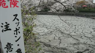 この時期(3月)、水がありません