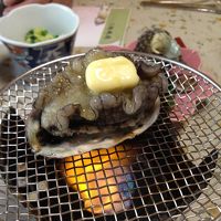 別注の鮑。まだまだ元気なので脱走していました