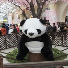 コンコースにいました