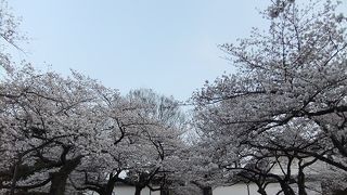 北の丸公園への入口