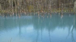 晴れている日にゼヒ