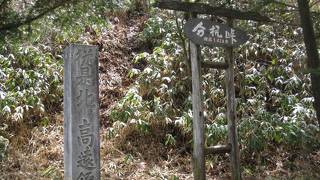 分杭峠 ゼロ磁場