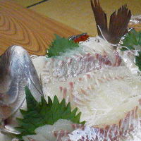 鯛　どぉ〜〜ん