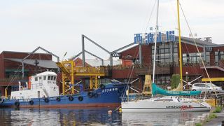 テディベアに会えず？