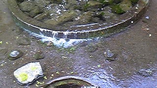 富士山からの湧き水