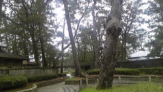 日本一の。。。