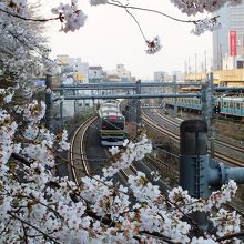 飛鳥山から王子駅と東北線をのぞむ。