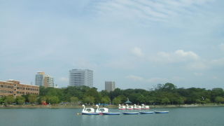 のんびりできるスポット