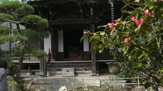 安産子育のお寺は花木に包まれて・・
