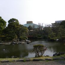 池のある庭園