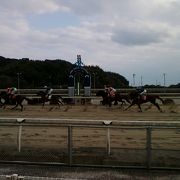 田舎の競馬場ですが、キッズスペースは広いです