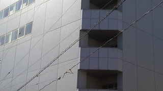 109 MACHIDA　～町田～