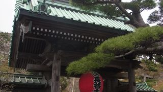 季節ごとに楽しめる