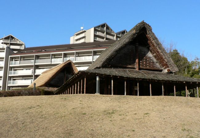 史跡新池ハニワ工場 はにわこうば 公園 クチコミ アクセス 営業時間 高槻 島本 フォートラベル