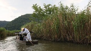 手漕ぎ船で風流に水郷めぐり