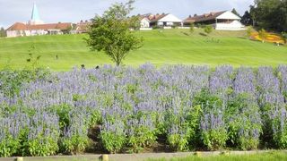 大人には退屈かも．．．