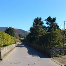 メインの通り道