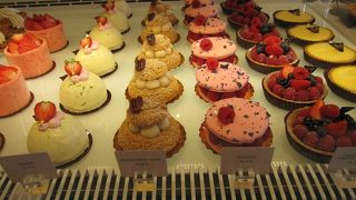 午前中が狙い目！