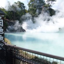 肌がきれいになりそう・・・