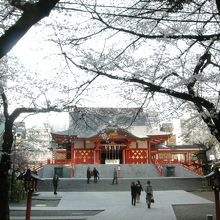 桜と神社