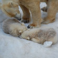 眠いよ・・・・ッ！