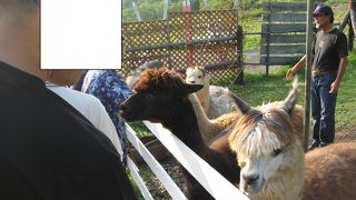 一度来ればいいかと．．．