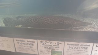 園長さんのお話が楽しい。