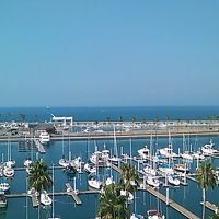 お部屋からの眺め