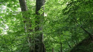 御殿場口からの往復がオススメ。