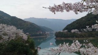 桜の名所。やはり春がおすすめです。