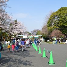 上野動物園の表門前の風景。最初は、予想だにせず。